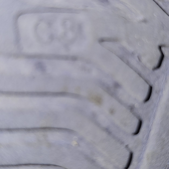 Native Shoes - Picture 6 of 7